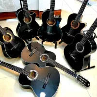 گیتار مول کاتوی c2|گیتار، بیس، امپلیفایر|تهران, شیخ هادی|دیوار