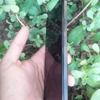 Redmi Note 12|موبایل|اهواز, عین ۲|دیوار