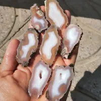 طبیعت گردی وپول