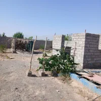 زمین ماهان