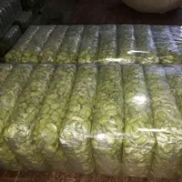 باقالی سبز و نخود فرنگی تازه و منجمد به شرط|خوردنی و آشامیدنی|تهران, مخصوص|دیوار