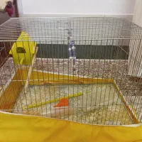 قفس با تمام وسایل