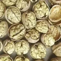 گردو با کیفیت تویسرکان گردو مال باغ خودمون هست|خوردنی و آشامیدنی|محمدشهر, کوی بهار|دیوار