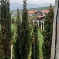 تجربه خانوادگی