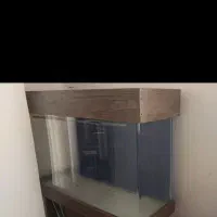 آکواریوم|لوازم جانبی حیوانات|ساوه, |دیوار