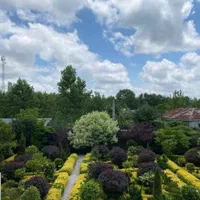 ویلا باغ ۳ هزار متری دلباز در مرکز شهر رشت|فروش خانه و ویلا|رشت, گلسار|دیوار