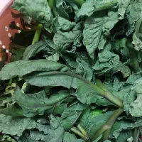 سبزی کوهی علیان تازه تازه امروز ۱۰۰ت خواص گرم