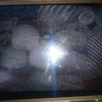 پیرکس اصل و تعدادی بلور