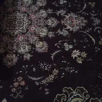 دوتا فرش درحدنو