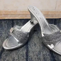 دمپایی مجلسی|کیف، کفش، کمربند|اراک, |دیوار