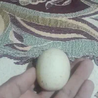 سنگ الماس آسیاب