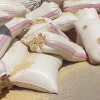 کاه نرم و گوسفندی