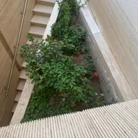 دستیاردندانپزشک