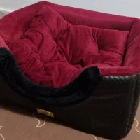 جای خواب سگ