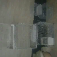 قفس پرنده