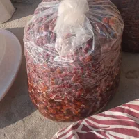 خرما خاصه