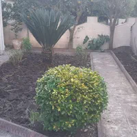 خدمات تخصصی باغبانی و فضای سبز|خدمات باغبانی و درختکاری|بندر انزلی, کارآموزی|دیوار