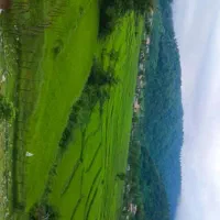 زمین-مسکونی-دوبر-کوچه-تل-قلعه