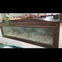 آکواریوم بزرگ دو متری2*55*40شیشه10میل|ماهی|دوگنبدان, |دیوار