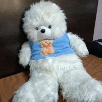 عروسک خرسی سفید بامزه