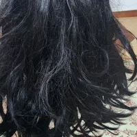 کلاه گیس|آرایشی، بهداشتی، درمانی|کازرون, |دیوار