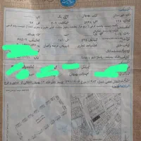 مغازه 10 متری ، بید بلند