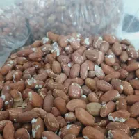 بادام اصلا آستانه