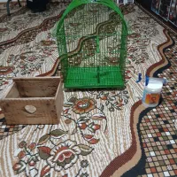 سلام‌قفس‌کوچک‌نو‌