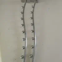 شاخک رگال