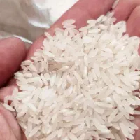 برنج تایلندی .خاص .درجه یک .