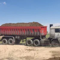 زرین کودمرغی