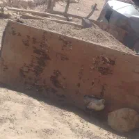 کود حیوانی هر نیسان 1/500