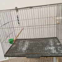 قفس پرنده