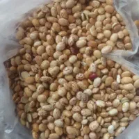 لوبیا چیتی|خوردنی و آشامیدنی|معصومیه, |دیوار