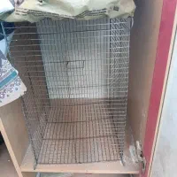 قفس پرنده