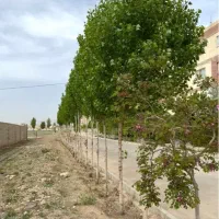 زمین-آموزشی