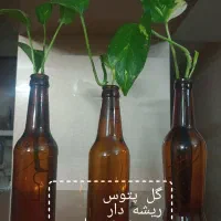 گل طبیعی لطفاً ورق بزنید