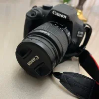 دوربین عکاسی canon|دوربین عکاسی و فیلمبرداری|مهاجران, |دیوار
