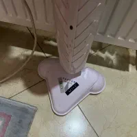 بخارشور