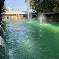 330-متر-جنوبی-خیابان-سرو-پشت-حاشیه-وکیل-آباد