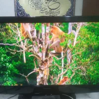 آل سی دی۴۲ اینچ پانا سونیک تعمیر نشده|تلویزیون و پروژکتور|اراک, |دیوار