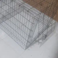 لانهسگاهنی