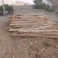 فروش چوب تیرخشک طاقی