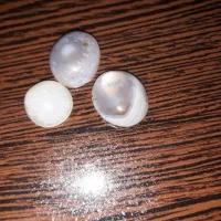 عقیق سلیمانی