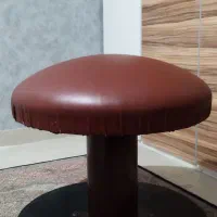 فروش قارچ ژیمناستیک ودوجفت کفبندشماره ی۲