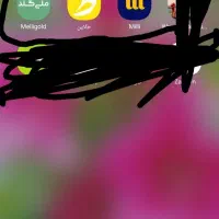 جایزه میلیونی