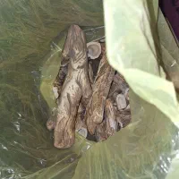 شومینه گازی سه شعله بزرگ|بخاری، هیتر، شومینه|تهران, سجاد|دیوار