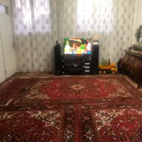 فروش آپارتمان ۵۶ متری شخصی در باغمیشه(ایران ملک)