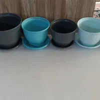 گلدان پلاستیکی|گل و گیاه طبیعی|تهران, مسعودیه|دیوار