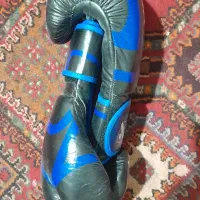 دستکش بوکس|تجهیزات ورزشی|فولادشهر, A4|دیوار